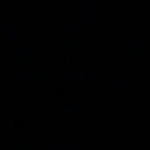 Meet your Posher, Mikayla